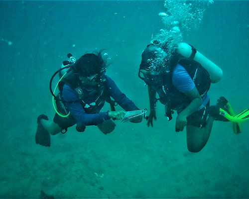 Advanced Open Water Dive course in Havelock Islands, Andaman | | PADI certification courses | Learn Scuba Diving