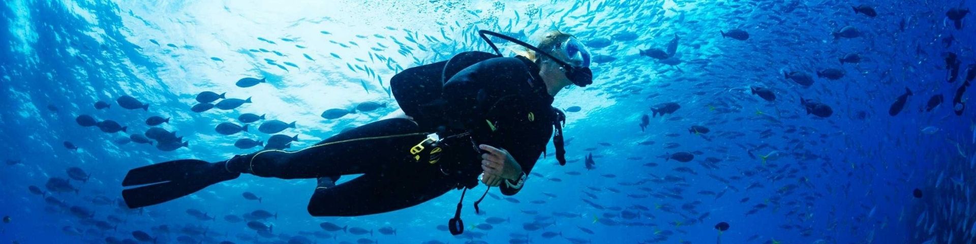 Scuba Diving for Certified Divers | PADI Scuba Dive Resort | Best Scuba Diving in Havelock