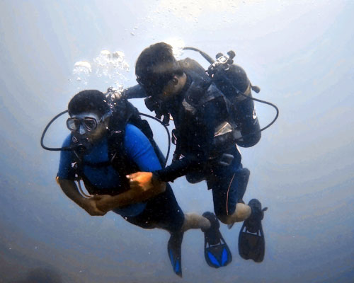 Try Dive in Havelock Islands, Andaman | PADI Scuba Dive Resort| Best Scuba Diving in Havelock