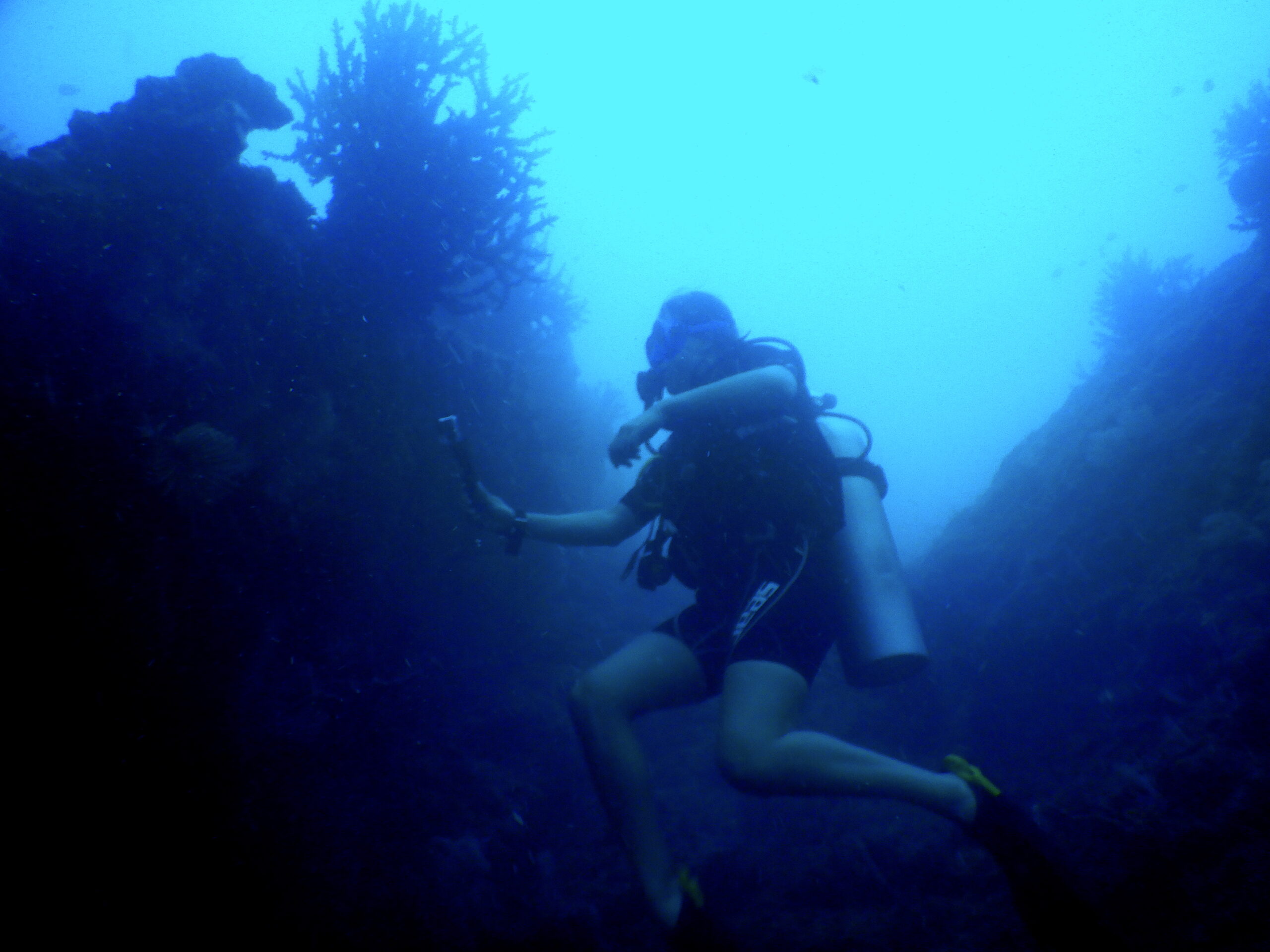first scuba diving experience in india