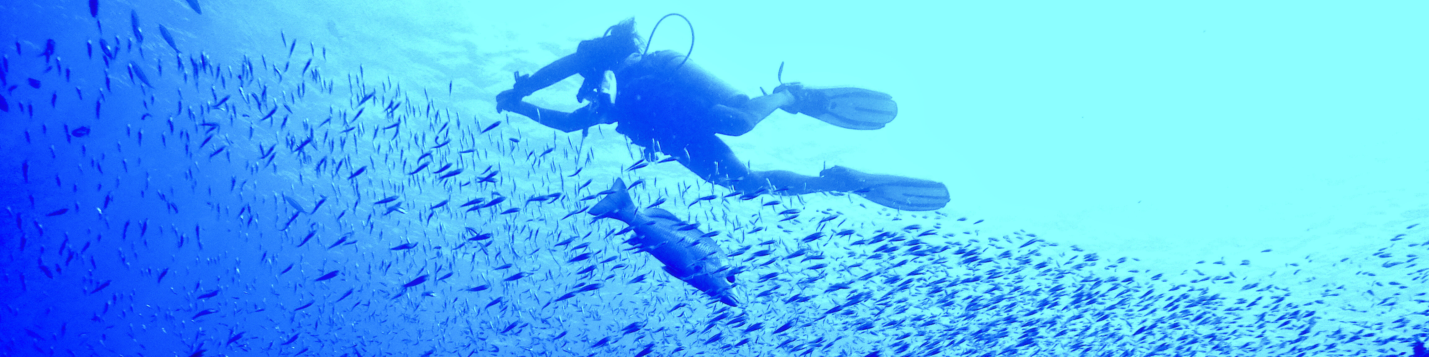 A diver Scuba Diving in Havelock